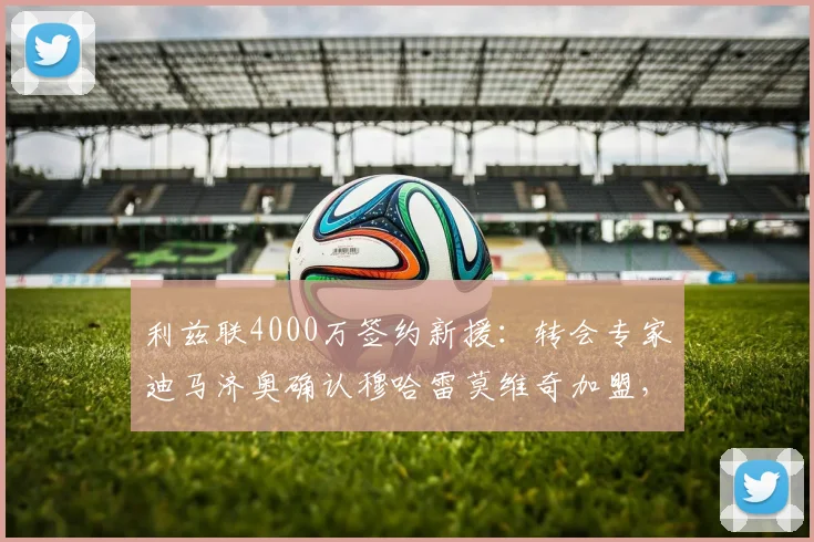 利兹联4000万签约新援：转会专家迪马济奥确认穆哈雷莫维奇加盟，附球员背景与市场分析