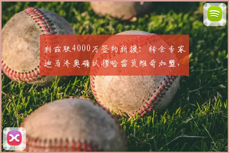 利兹联4000万签约新援:转会专家迪马济奥确认穆哈雷莫维奇加盟,附球员背景与市场分析